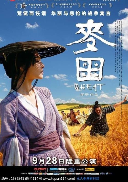 切斯特大学公共管理文凭证书